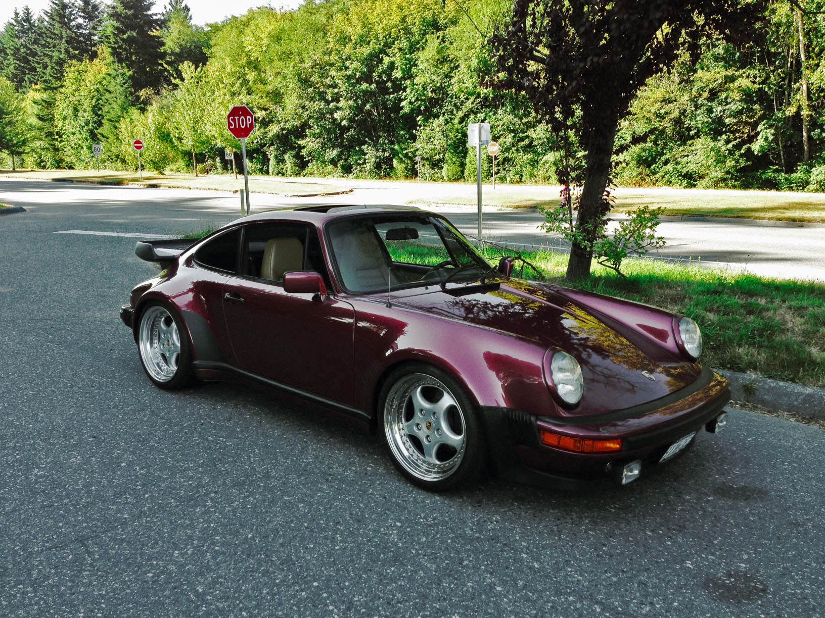 Porsche 930 Seitenansicht (FIN: WP0JA0937BS050044) Porsche 930 Seitenansicht (FIN: WP0JA0937BS050044)